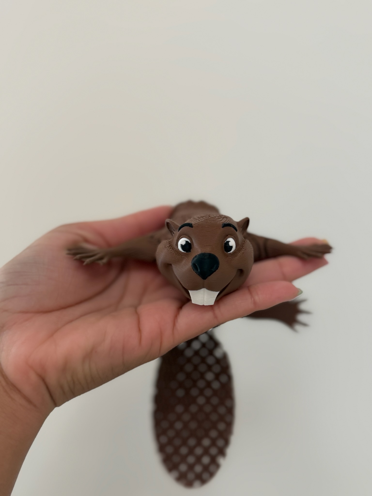 Pocket Beaver