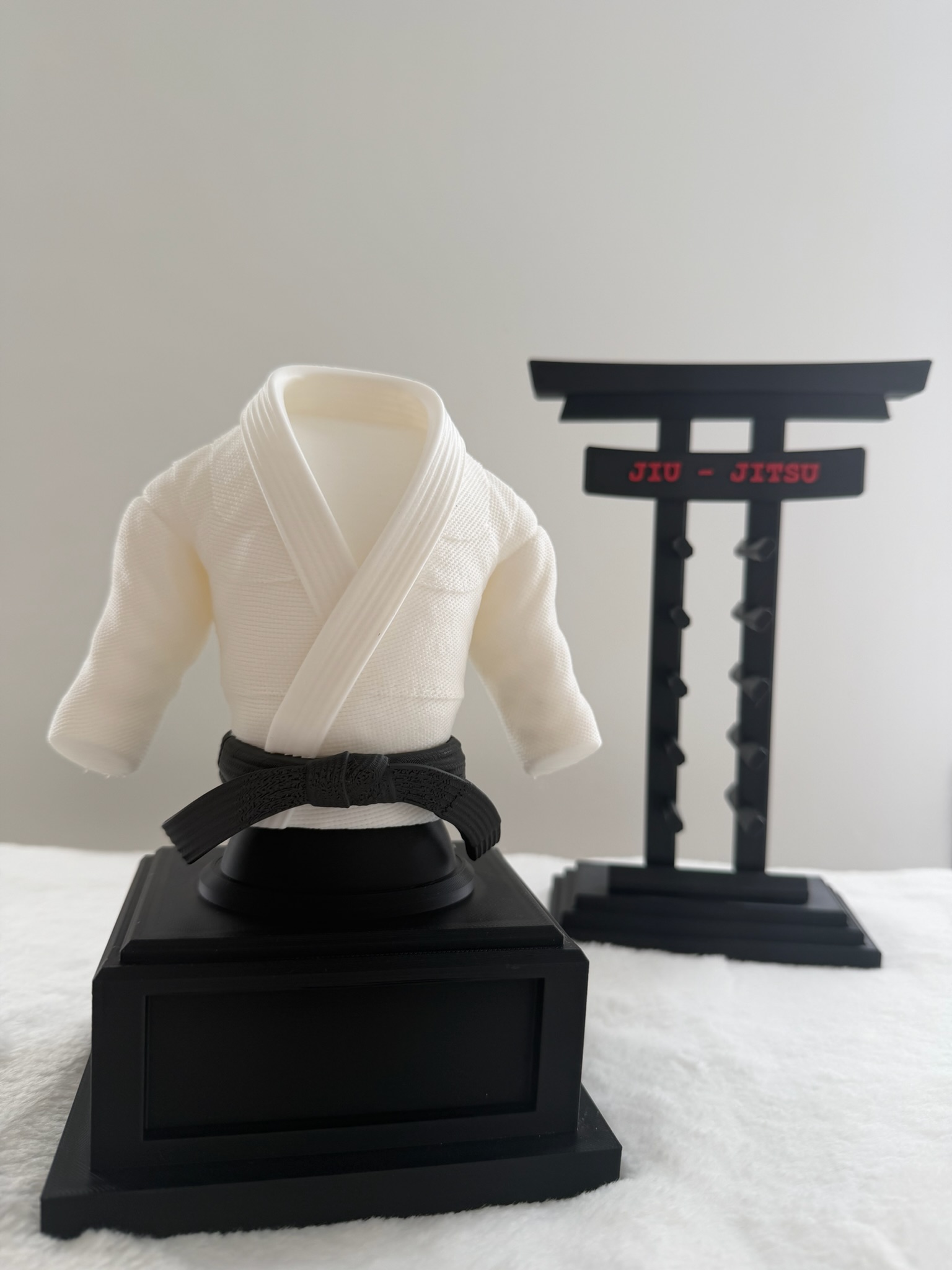 Jiu-Jitsu Display